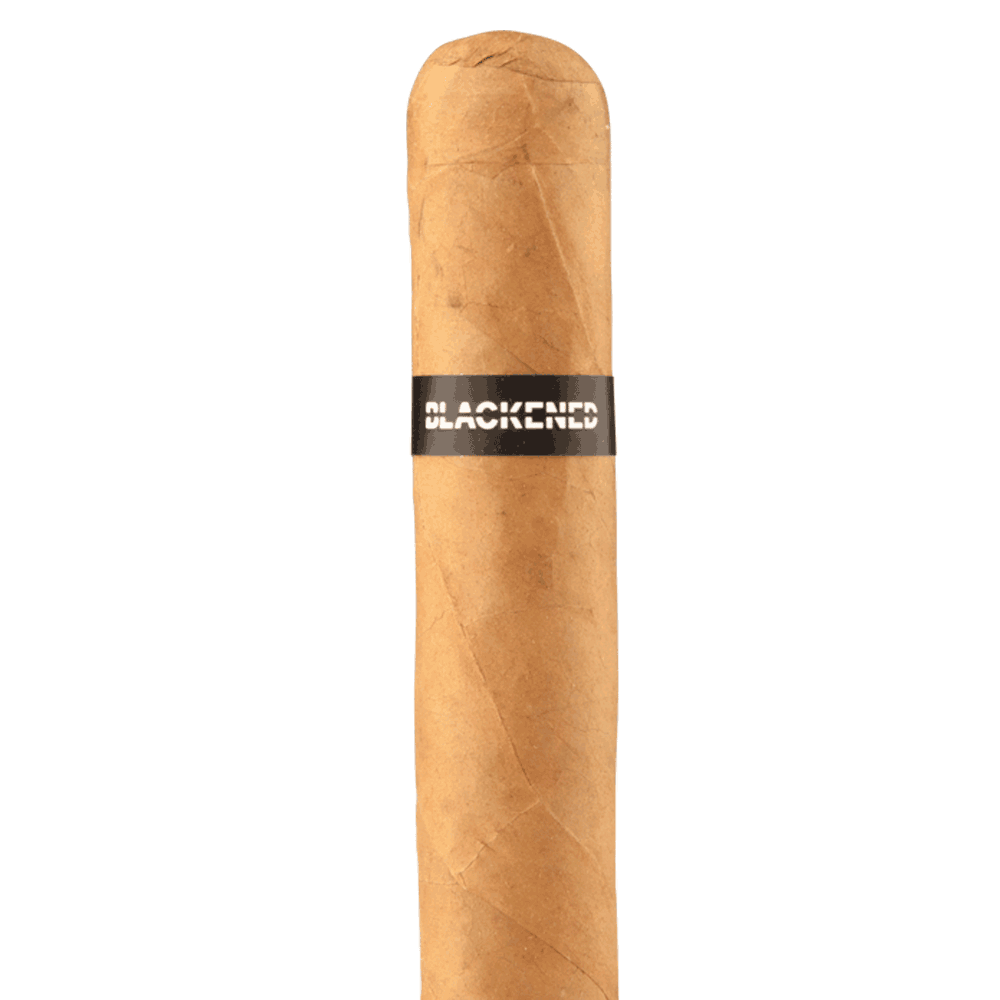 S84 Robusto, , cigars